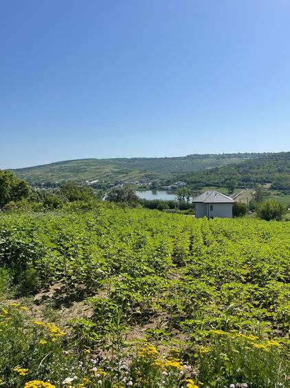Teren Construcții intravilan de 600 mp, în Șorogari