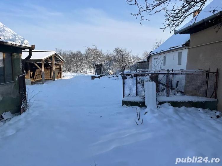 Casă cu 3 camere în Central