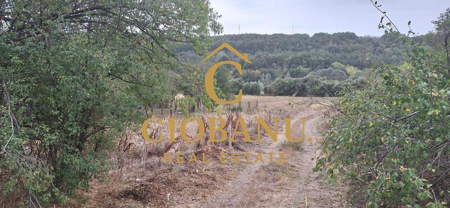 Teren agricol intravilan de 4215 mp, în Exterior Nord