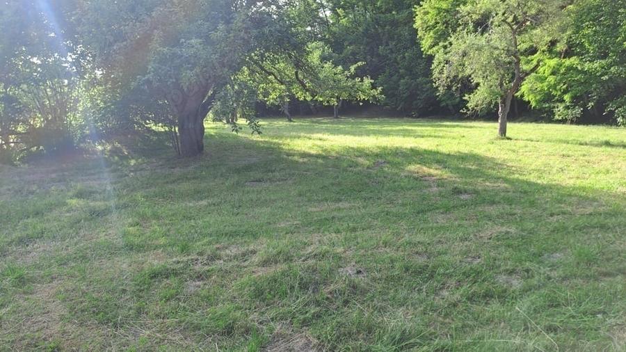 Teren de 3700 mp, în Porumbacu de Sus