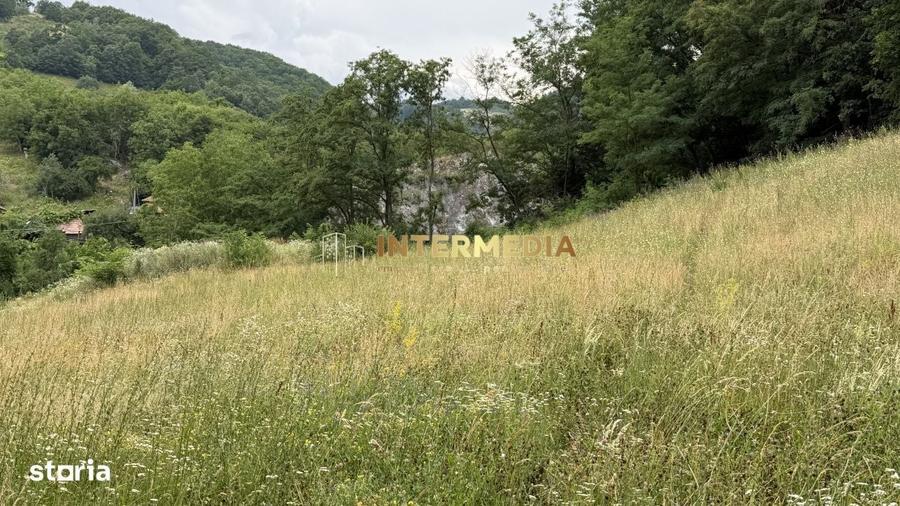 Spațiu comercial, în Văleni