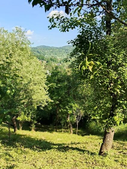 Casă cu 3 camere în Bezdead