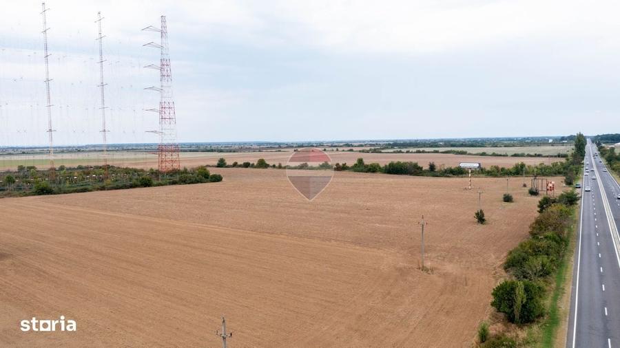 Teren intravilan 10.000mp Ciolpani, acces direct din DN1 - 1