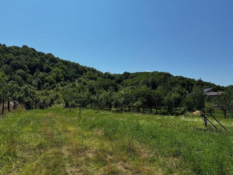 Teren de 935 mp, în Sălătrucel