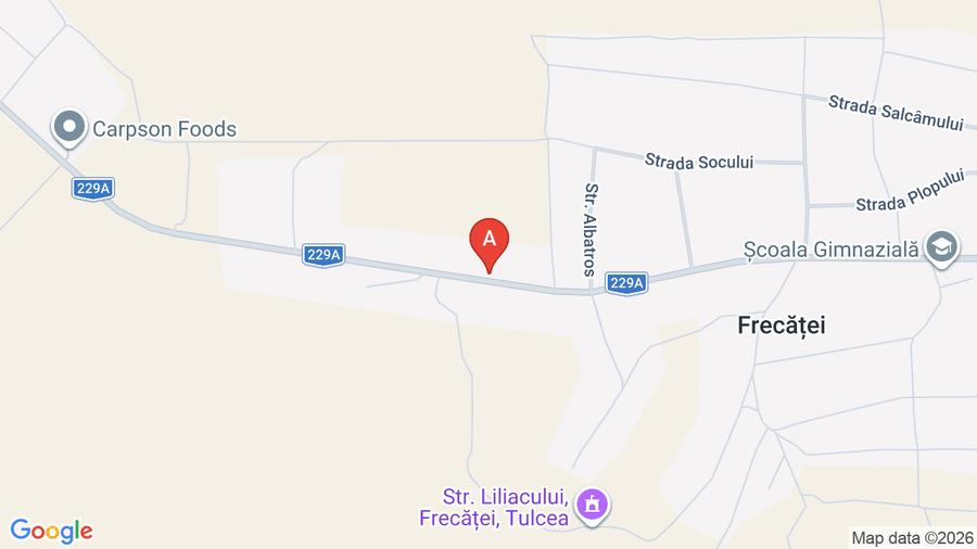 Casă individuală cu 4 camere cu Teren 7000 Mp în Frecăței