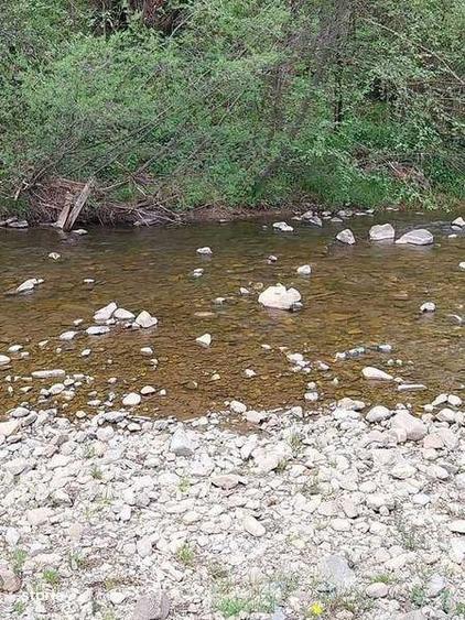 Teren de 13300 mp, în Săcuieu