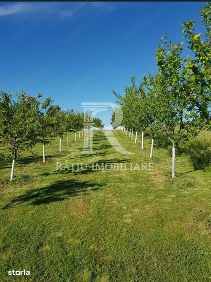 Teren de 1500 mp, în Sânmartin