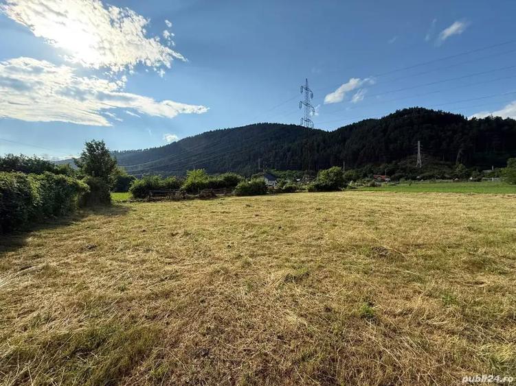 Teren în Stejaru (Farcașa)