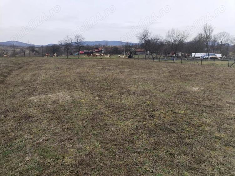 Teren de 3000 mp, în Vața de Jos
