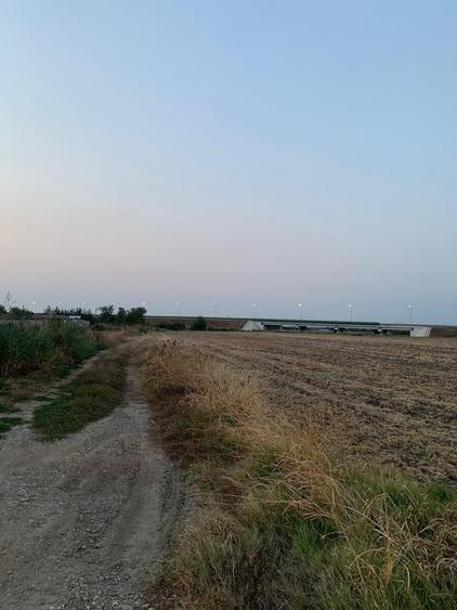 Teren agricol intravilan de 4000 mp, în Dimieni