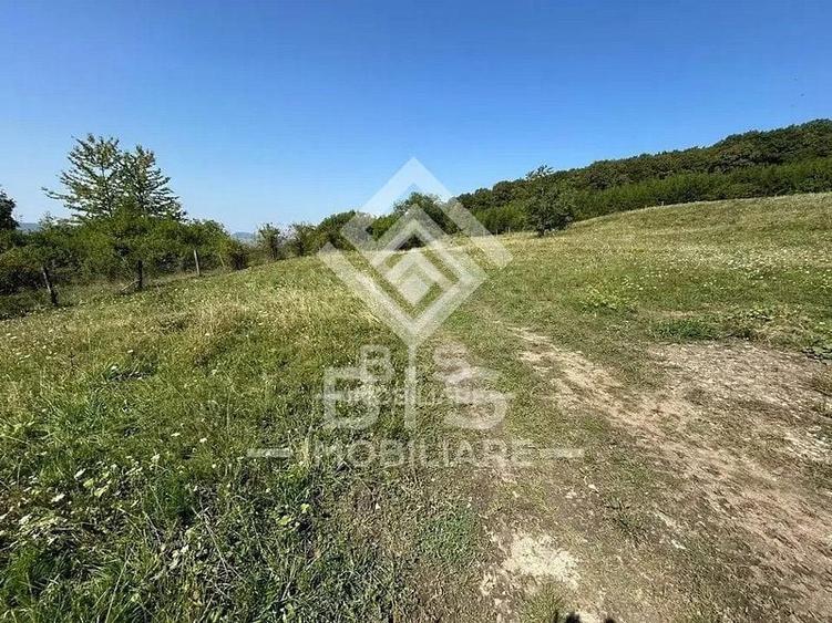 Teren extravilan de 10000 mp, în Sud
