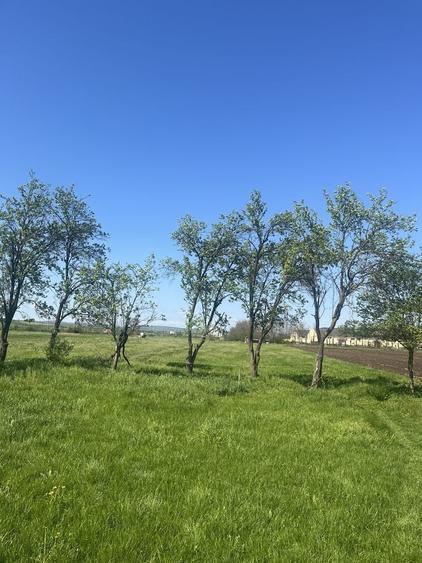 Teren de 6000 mp, în Bonț