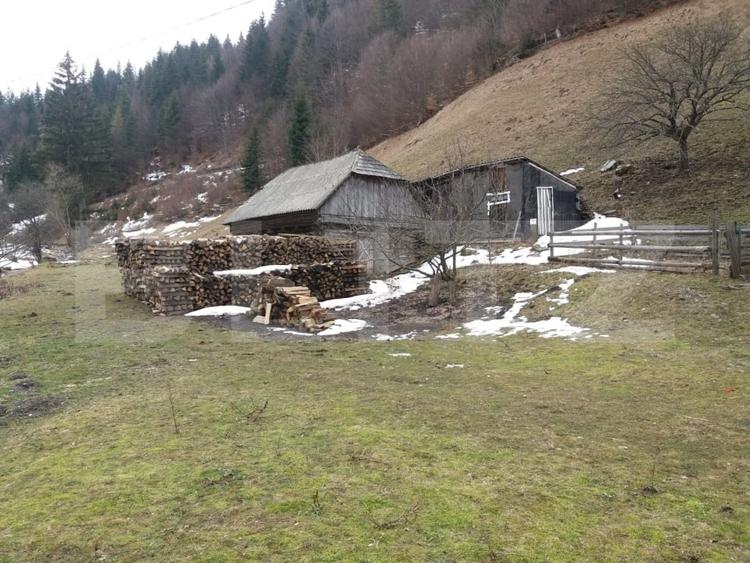 Teren Construcții intravilan de 4890 mp, în Moieciu de Sus