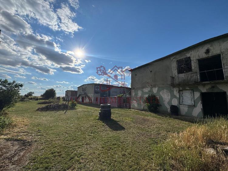 Spațiu industrial, de 16,000 mp, în Orțișoara