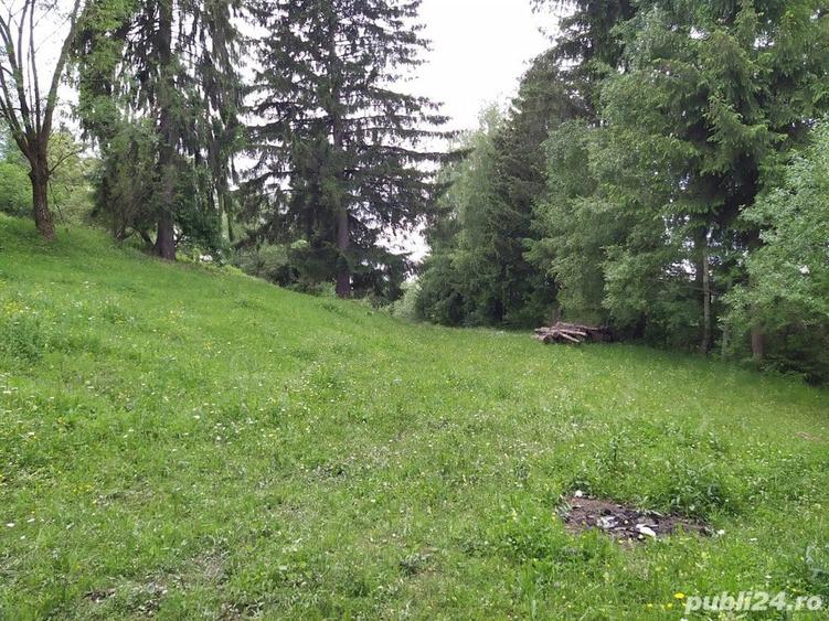 Teren de 9042 mp, în Moisei