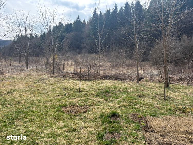 Teren de 2841 mp, în Făget