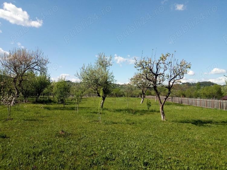 Teren intravilan la munte, in Nereju, Vrancea - 2