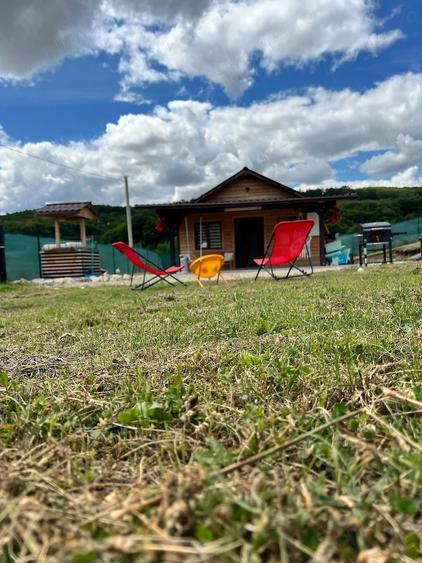 Vand teren plus cabana! - 7