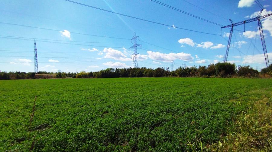 Teren Construcții intravilan de 4550 mp, în Nicolae Grigorescu