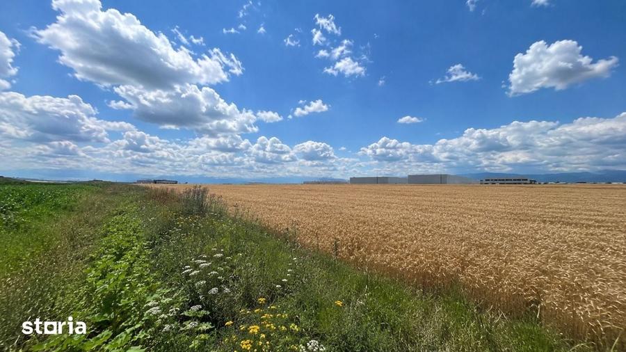 Teren de 38676 mp, în Vest