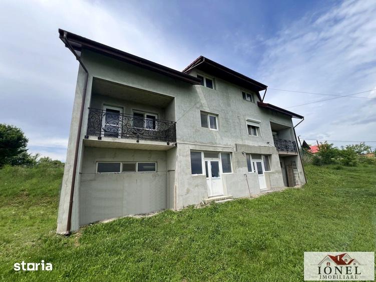 Casă cu Teren 6000 Mp în Teiu