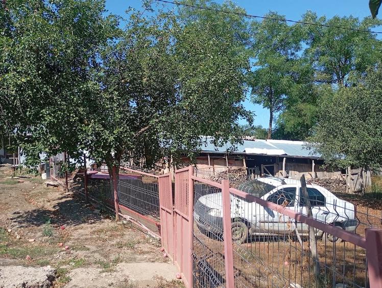 Casă cu 3 camere cu Teren 2500 Mp în Rebricea