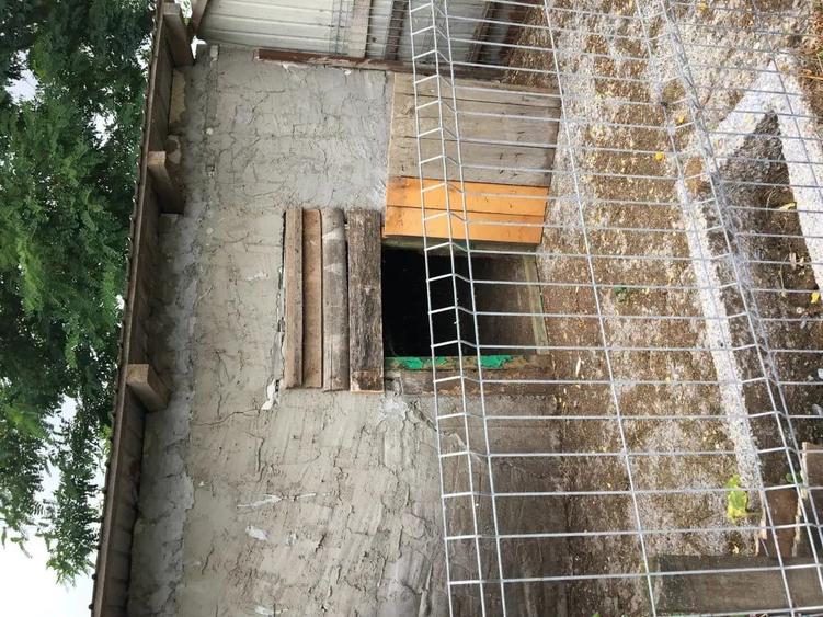 Casă cu 5 camere în Viișoara