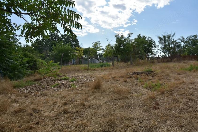 Casă cu Teren 1750 Mp în Costache Negri