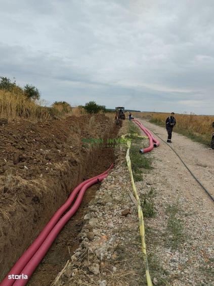 Teren de 42000 mp, în Cernica