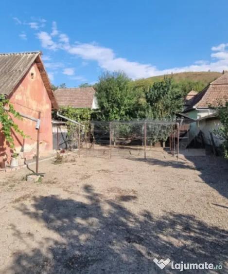 Casa cu 3 camere, anexe, curte ?i gradina - Boian (Cluj) - 12