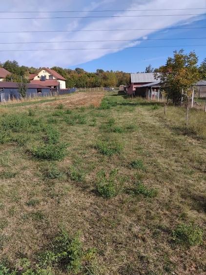 Teren Construcții intravilan de 2600 mp, în Livezile