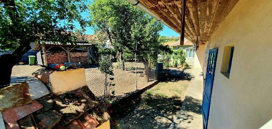 Casa cu gradina de 4000 mp in Carastelec - 3