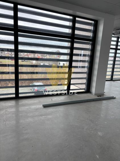 Spațiu comercial, de 723 mp, în Moșnița Nouă