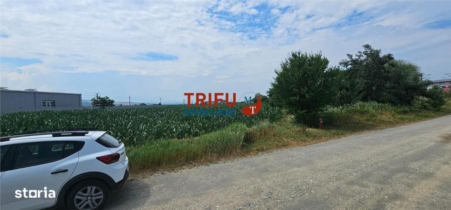 Spațiu comercial, în Central
