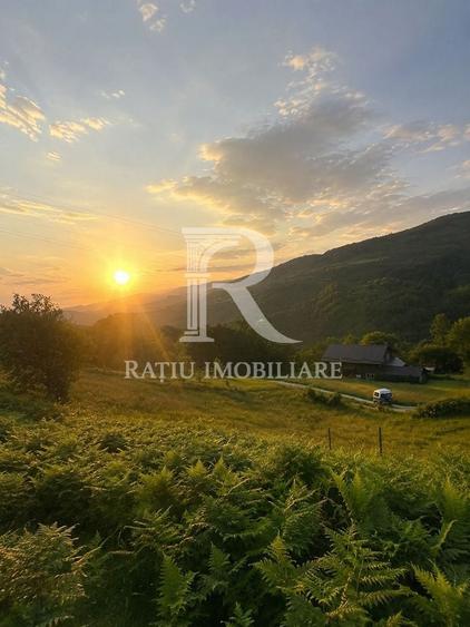 Teren 10.900mp | Panoramă în Apuseni | Remeți -Ideal pentru Investitii - 1