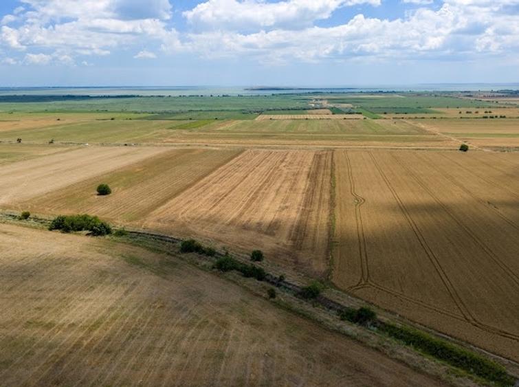 Teren agricol extravilan de 30000 mp, în Valea Nucarilor
