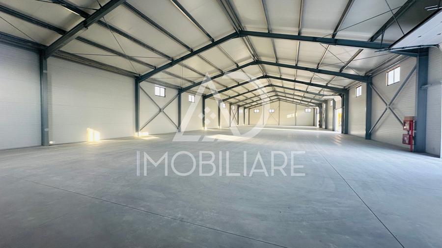 Spațiu industrial, de 1,000 mp, în Narciselor
