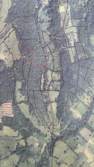 Teren agricol extravilan de 25000 mp, în Prundu Bârgăului
