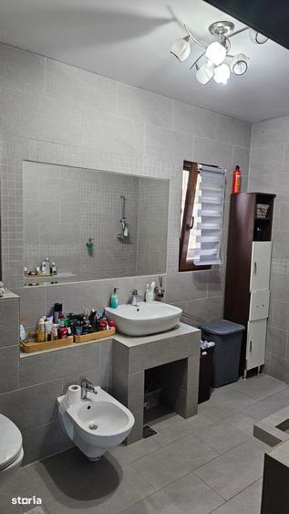 Casă cu 7 camere cu Teren 2870 Mp în Viișoara