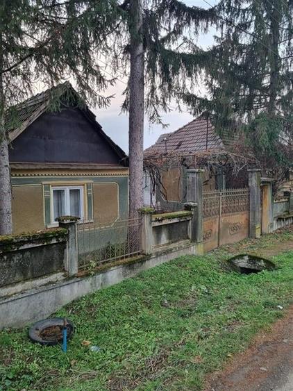 Casă individuală cu 4 camere cu Teren 3955 Mp în Tria