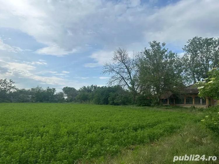 Teren de 1200 mp, în Vărăști