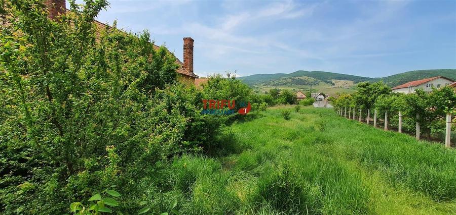 Teren Construcții intravilan de 765 mp, în Micești