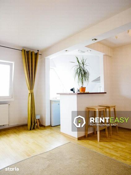 Apartament doua camere situat in zona Podu de Fier - 4