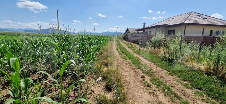 Teren Construcții extravilan de 10900 mp, în Florilor