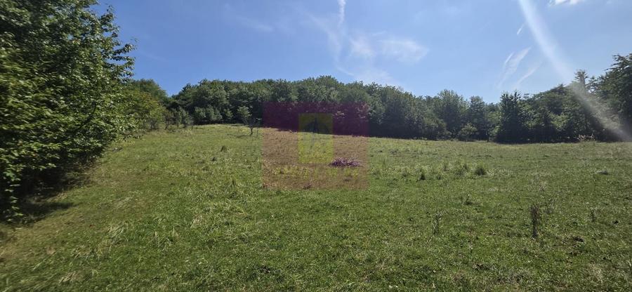 Teren Construcții intravilan de 2500 mp, în Bănești