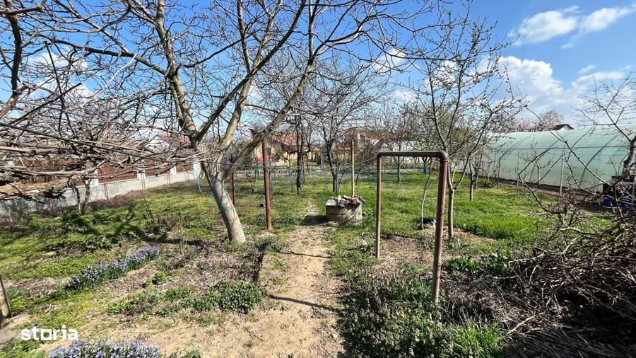 Casă cu 3 camere cu Teren 788 Mp în Vest
