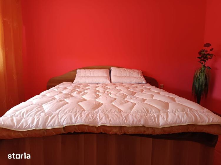 Vila P+E de vanzare in Valea lui Mihai 233 mp, teren 733 mp - 18