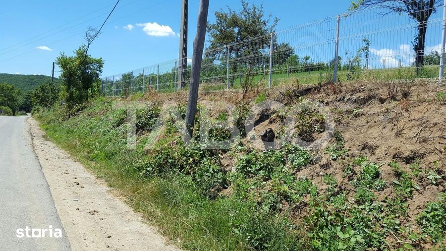 Teren de 1974 mp, în Săsciori