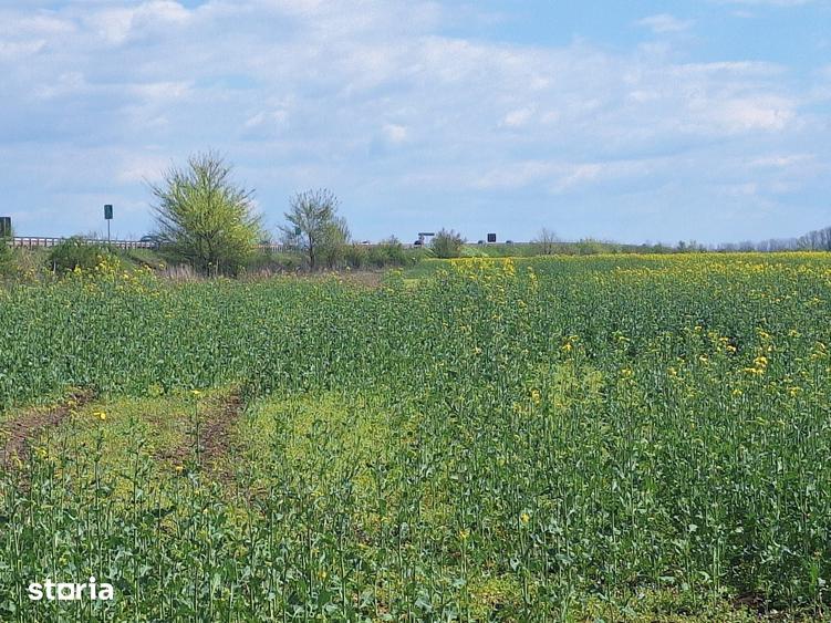 Teren de 32486 mp, în Bărcănești