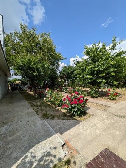 Casă individuală cu 3 camere cu Canalizare în Osica de Sus